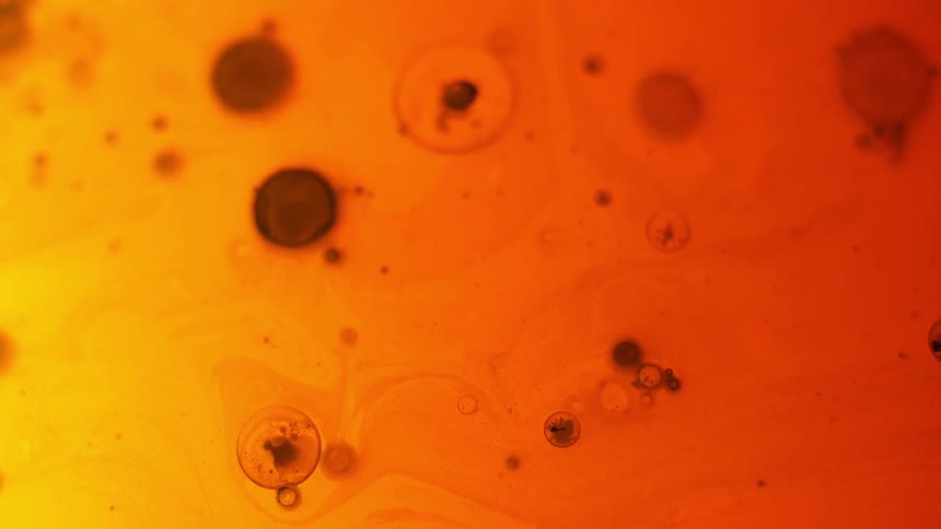 Small black circles floating around orange liquid