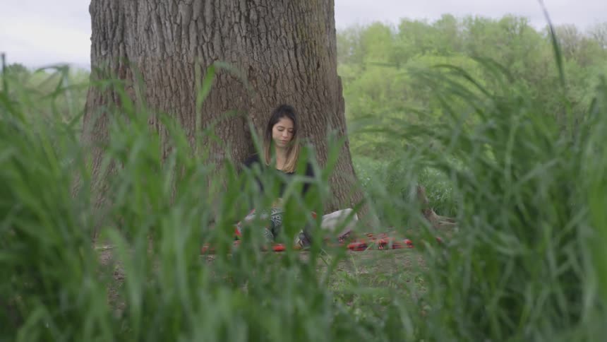 A woman is sitting by the tree reading
