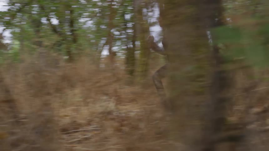 A white woman runs through the woods
