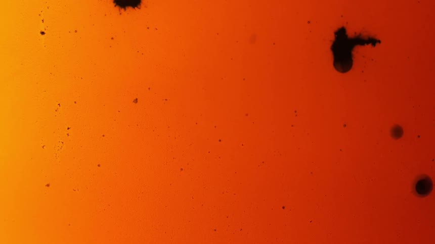 Oil reacting with water