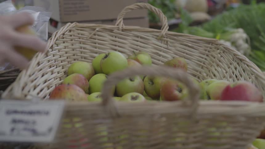 A person takes one apple from a basket full of apples