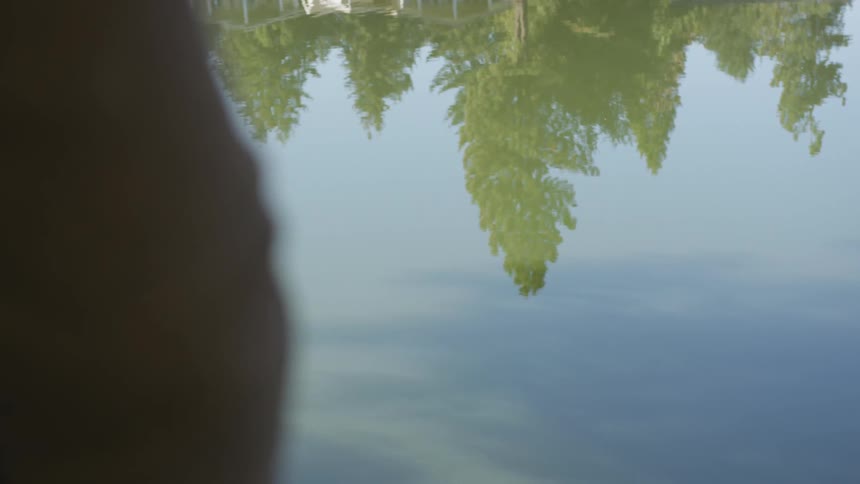 A lake reflects the image of a number of trees