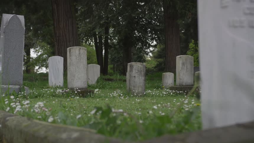 Several weathered tombstones are seen standing atop a field with with scattered wild flowers and all of this is next to a grove of tall trees
