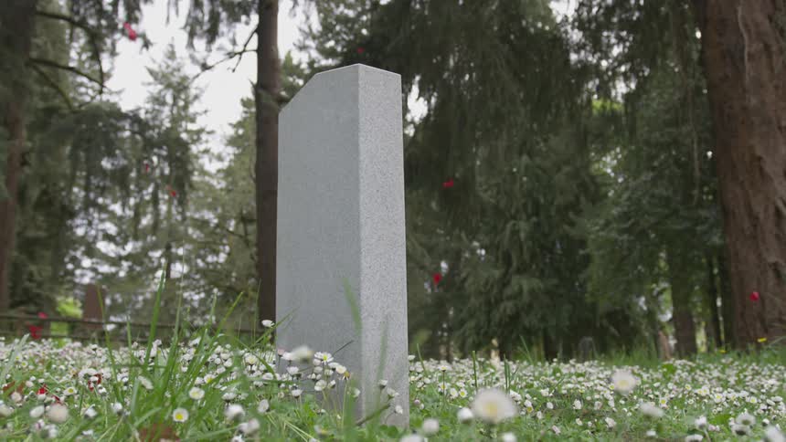 Leaves falling around a gravestone