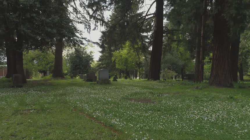 Flying through a graveyard full of grass and gravestones