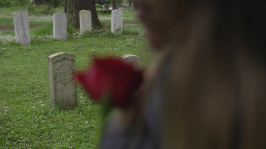 The backside of a person holding a rose in a cemetery