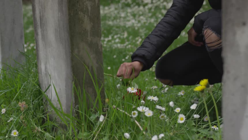 Young woman lays red rose on top of grave in cemetery
