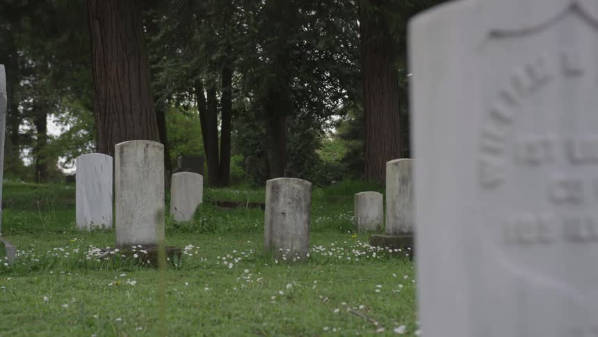 Tombstones in a cemetery in a woodland