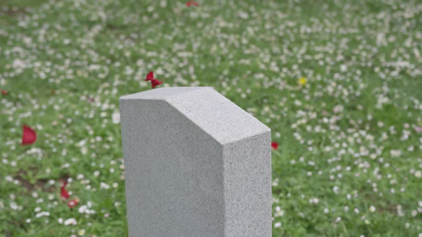 A tombstone with rose petals floating in the sky