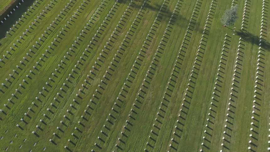 An aerial view of rows of headstones in a cemetery