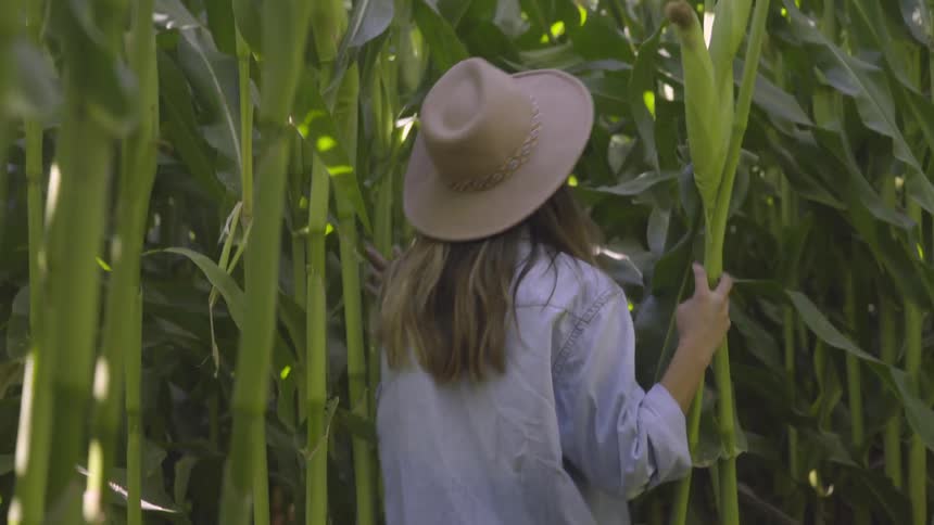 A woman walking through a corn field in a hat
