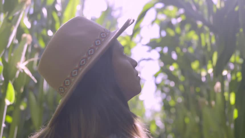 A woman stares at the tall green corn stalks