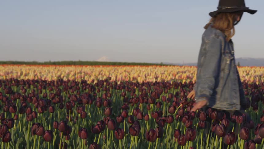 A brunette white woman runs through a field of dark red tulips