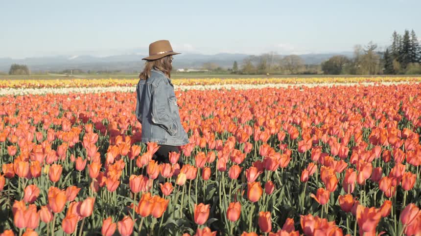 Woman in a fedora walking through a field of tulips