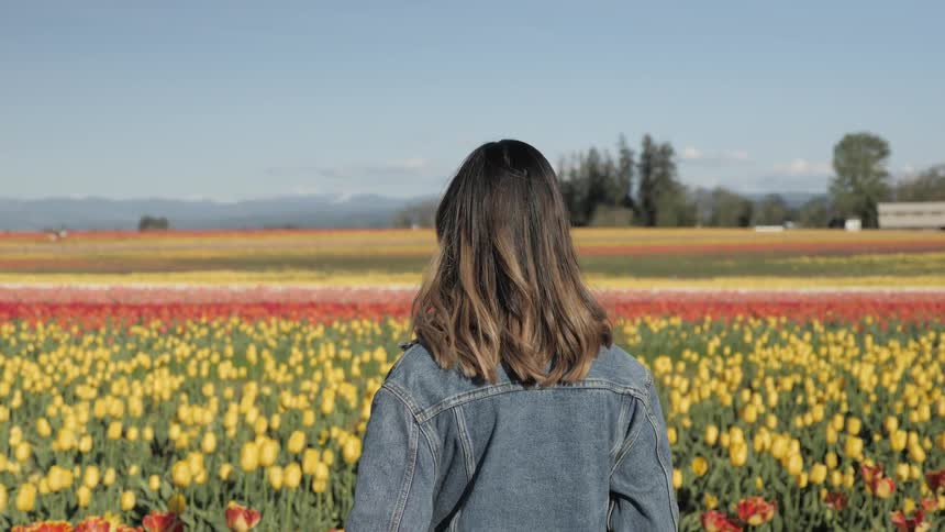 A woman in a denim jacket stands in a field of red and yellow tulips