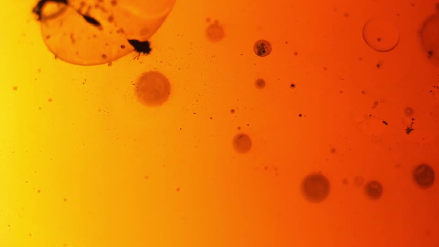 Small bubbles float in orange liquid