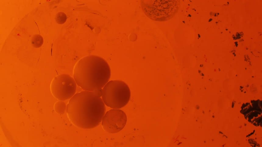 Orange liquid has man bubbles and pieces of debris