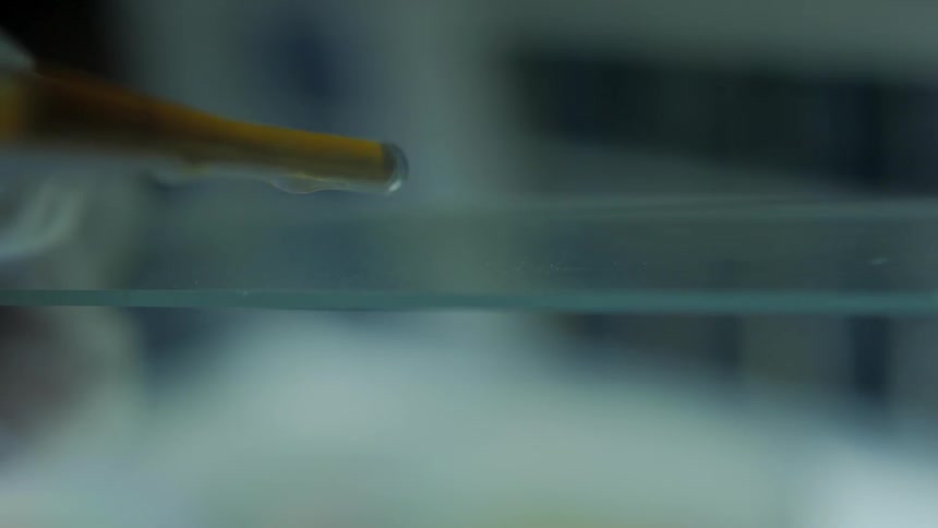 Scientists In Lab