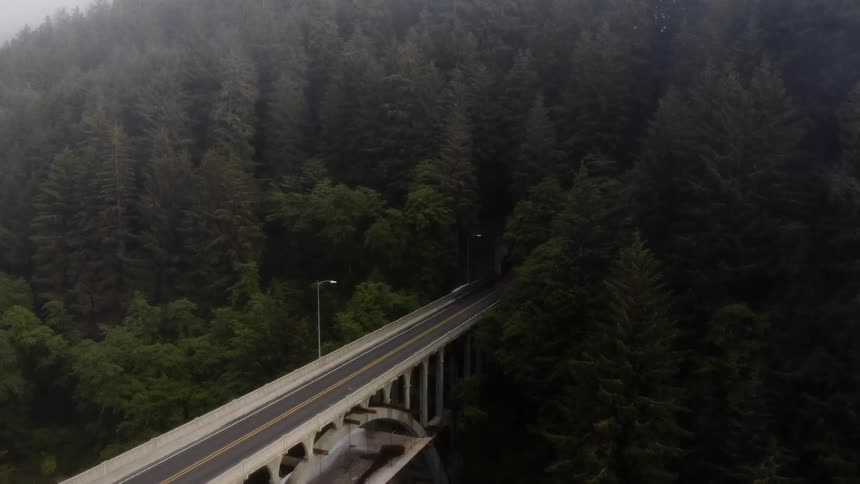 A highway running through a dense forest