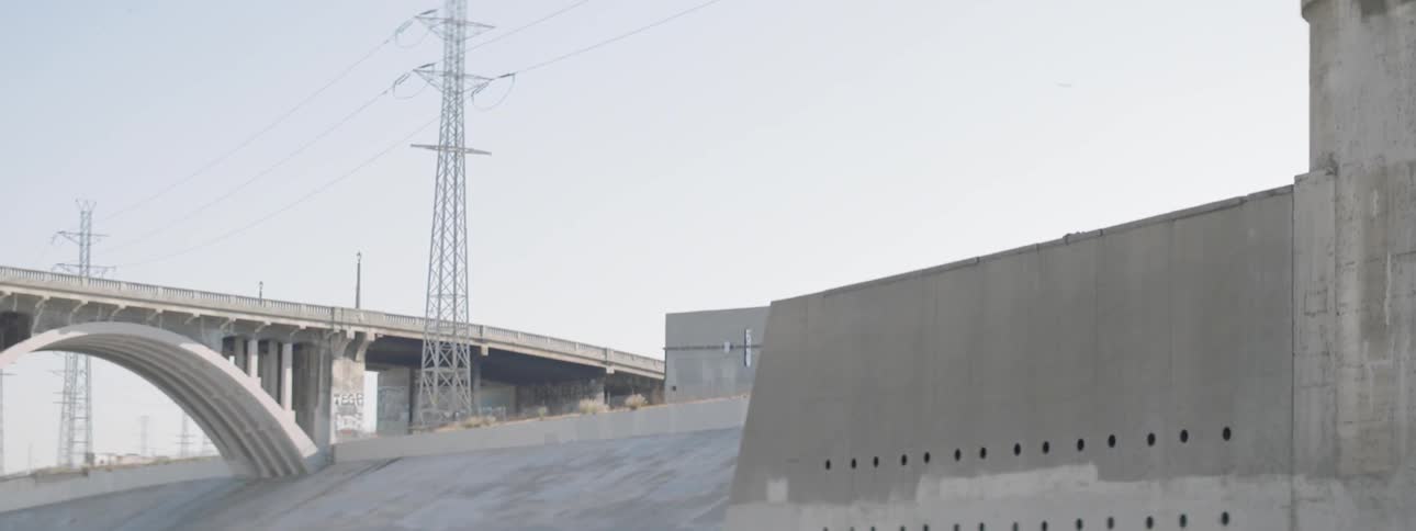 Birds flying above the Los Angeles River