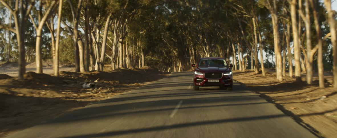 A four wheel drive car drives through a tree lined street