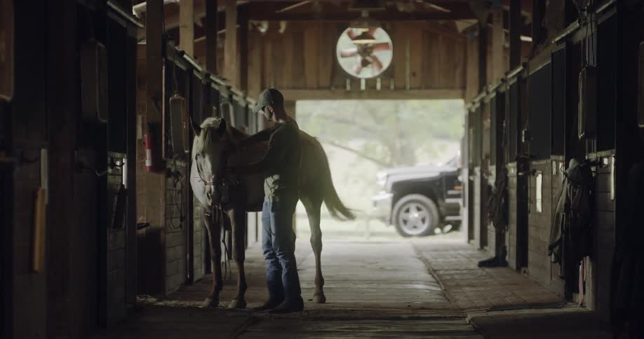A man in a stable brushing a horse