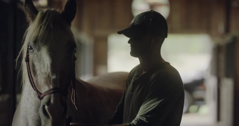 A man is grooming his horse