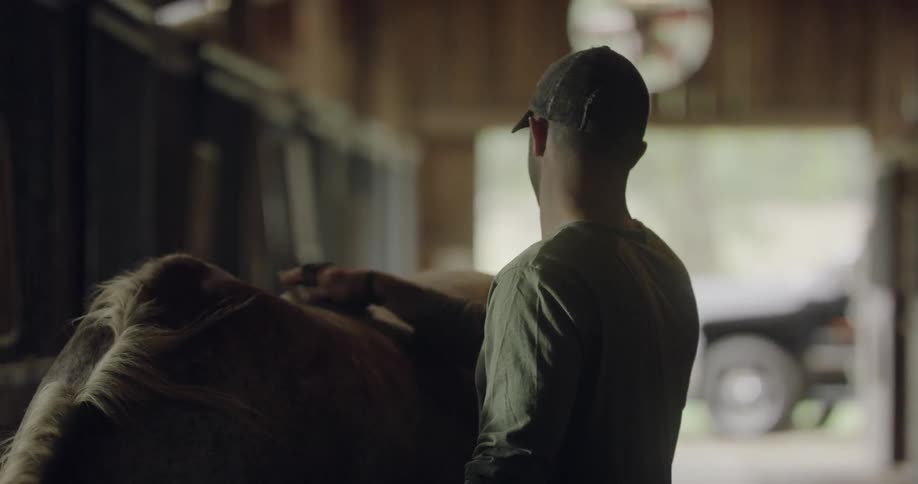 A man is grooming the back of a horse
