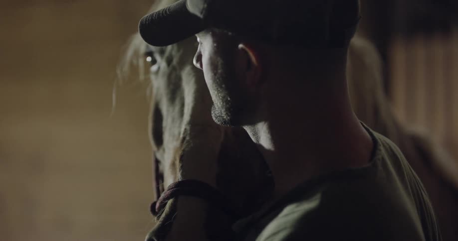 A guy tending to a horse