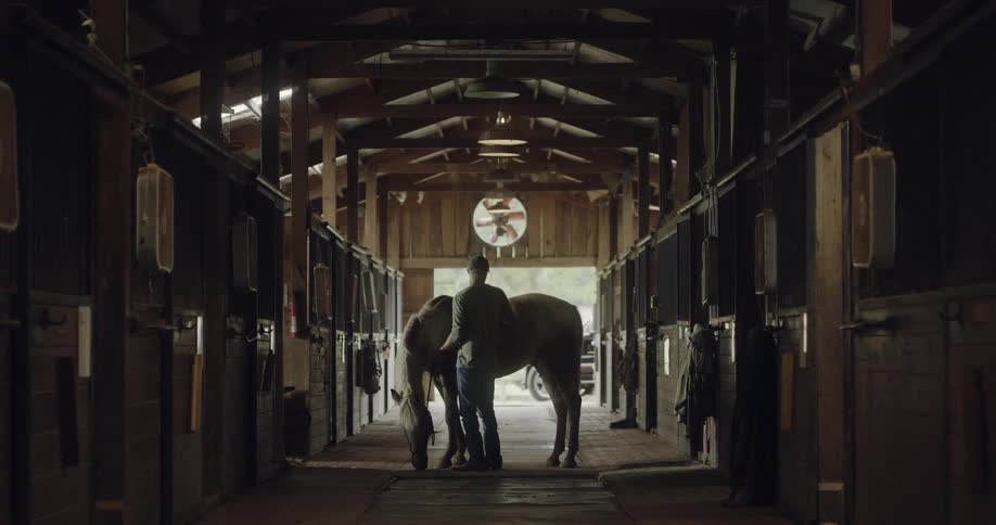 Silhouette of a man brushing a horse in corridor of a stable