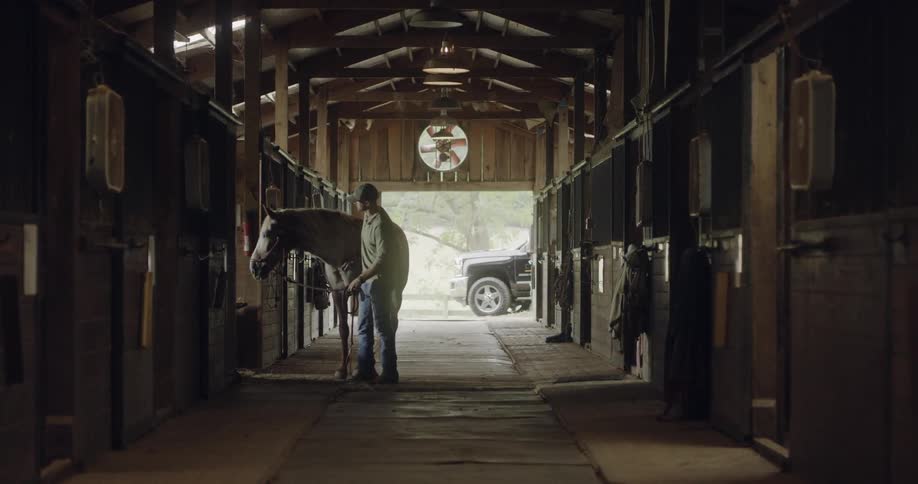 A white man brushes down a brown horse in a barn