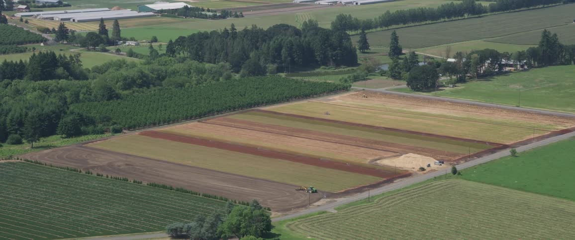A large farm land