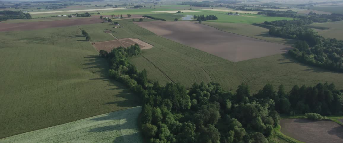 The camera flies over farm fields and trees