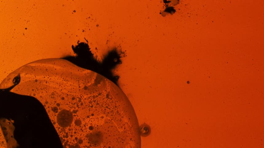 Orange water with black blobs
