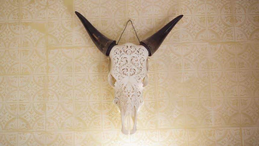 An animal skull hanging on the wall