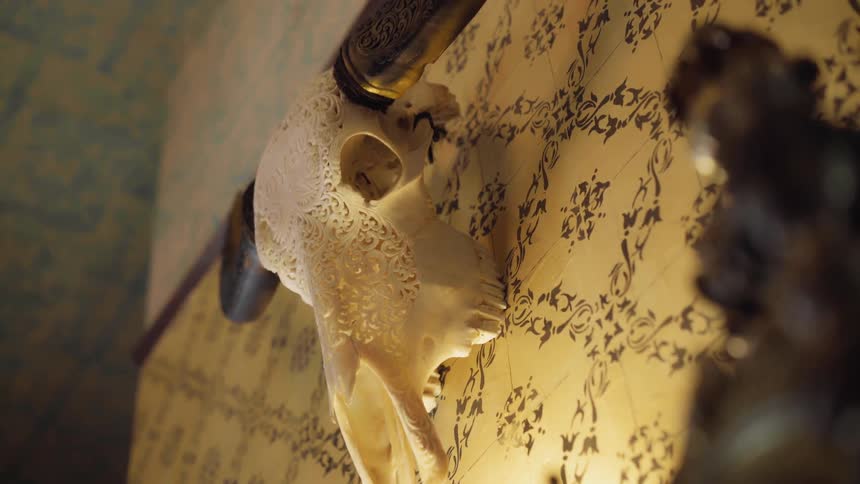 A cow skull mounted on a wall with wallpaper