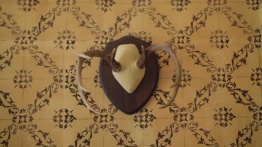 A mounted animal head sits on a wall with yellow and brown wallpaper