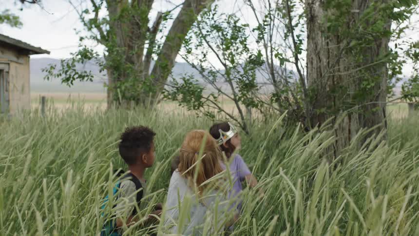 Three small children are standing amidst some tall grass while looking up into the sky on a very windy day in a rural area