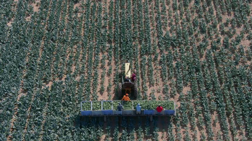 Six men riding on a tractor pulling a trailer with crops