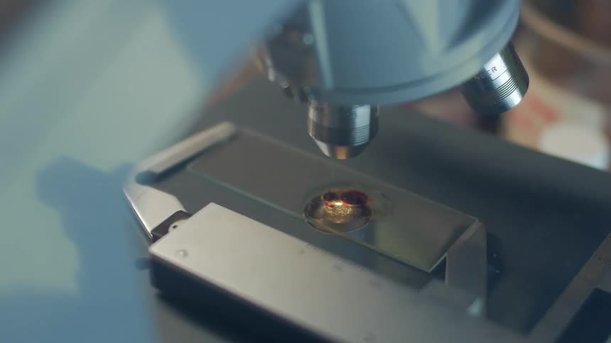 A microscope is examining something