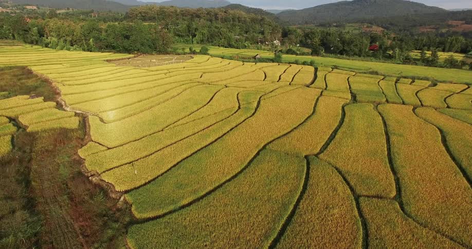 Thailand Aerials
