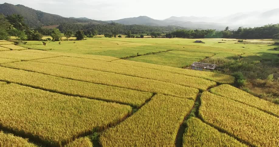 Aerial view of farm land