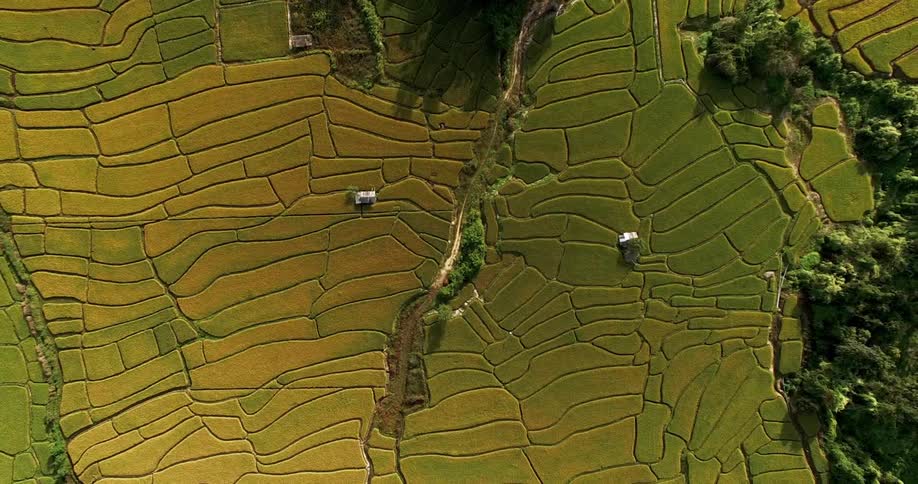Thailand Aerials