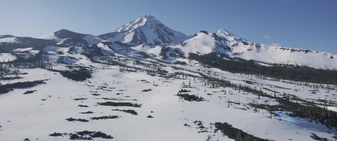 A mountain looms over a forest covered in snow