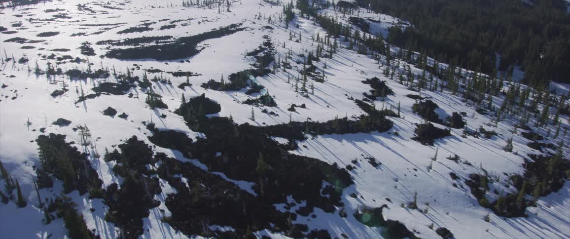 Snow and pine trees cover a mountain landscape