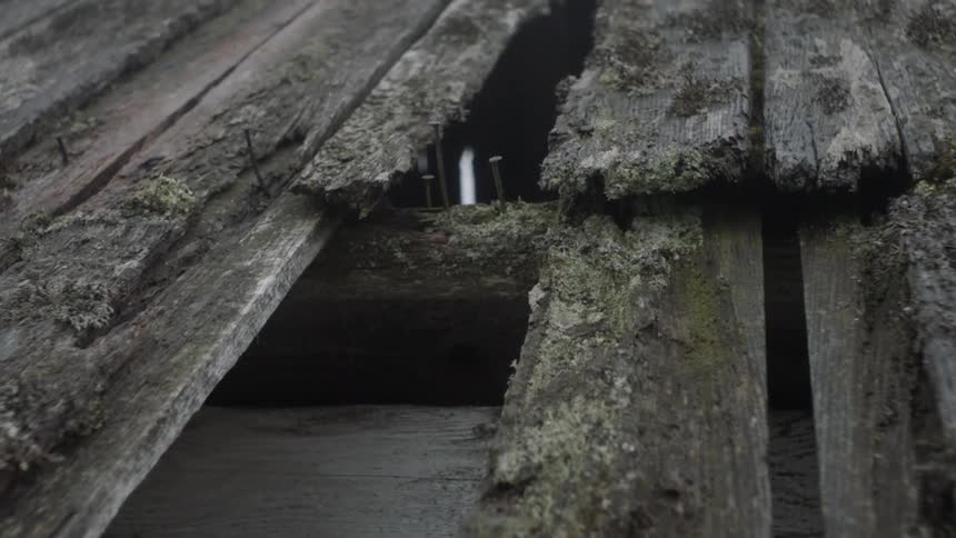 Rotten and moss covered boards with old nails protruding