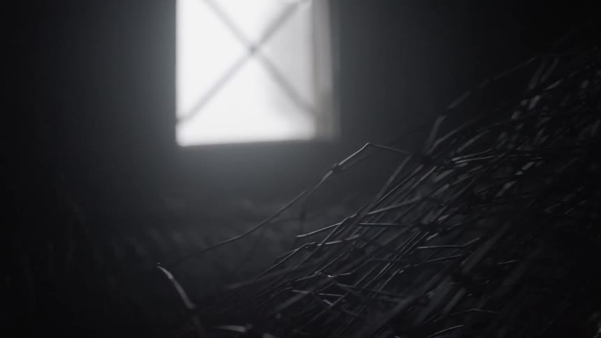 Light coming in from window highlights wire bail