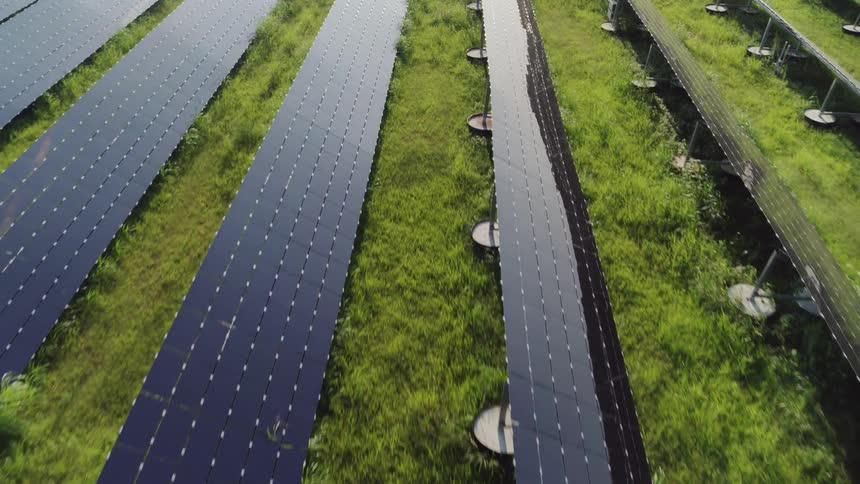 Rows of black solar panels laid across a field
