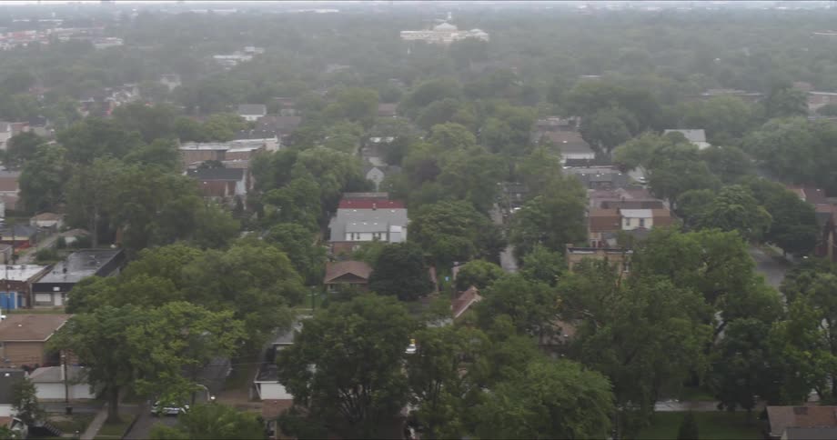 Overview of tree covered neighborhood