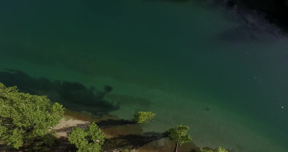 Trees are growing next to a river